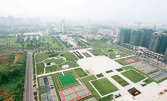公司名称